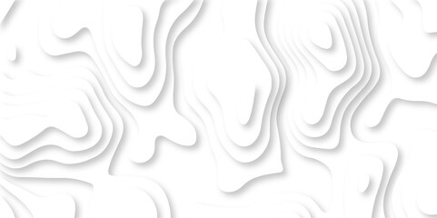 Modern black and white carve wave line abstract luxury papercut background. vector minimal light element shadow landscape wave element curve graphic papercut design.	
