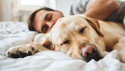 Peaceful scene of a young man and a dog sleeping together on a comfortable white bed at home