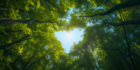 Fototapeta premium Enchanting Canopy Heart - View of Forest Treetops Framing the Sky