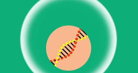 Image of dna rotating over green background