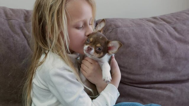 Young blonde girl sitting on a couch, affectionately kissing her small Chihuahua puppy on the head