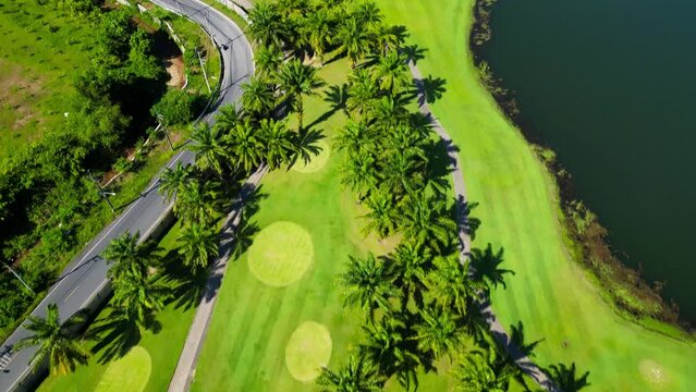 Lake with palm trees. Dron video