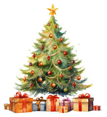 Fototapeta na wymiar PNG Christmas tree plant christmas tree
