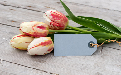 Bouquet of striped tulips in red, yellow and white and card with copy space