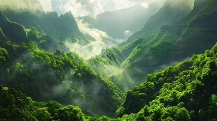 Keuken spatwand met foto Rainforest hills on Madeira island Portugal © Ashley