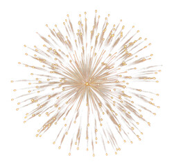 Fototapeta premium PNG New year firework fireworks night black background