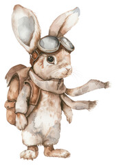PNG Rabbit in pilot costume rabbit animal mammal