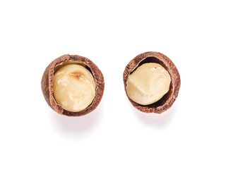 two macadamia nuts with open shells isolated