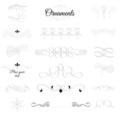 Hand drawn text dividers vintage ornaments collection. Vintage borders and wedding laurels.
