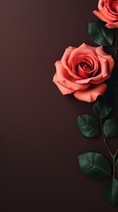 Rose background with dark rose paper on the right side, minimalistic background, copy space concept, top view, flat lay