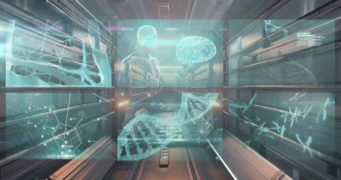 Image of dna, brain and medical data processing on interface screens - Powered by Adobe