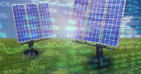 Image of financial data processing over solar panels on grass and blue background
