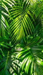 Fototapeta premium Exotic tropical forest lush palm leaves and trees in a verdant jungle nature panorama wallpaper