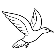 white dove isolated on white illustration vector