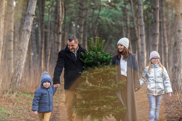 Fototapeta premium Cheerful couple with kids carrying spruce tree in woods