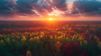 Aerial Autumn Bliss at Dusk. Concept Aerial Photography, Autumn Colors, Dusk, Drone Footage, Natural Beauty