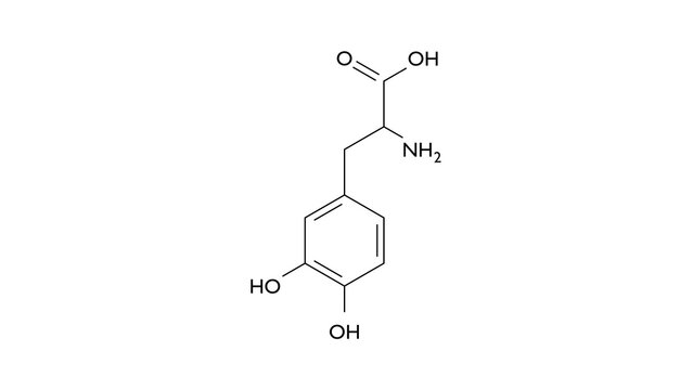levodopa molecule, structural chemical formula, ball-and-stick model, isolated image l-dopa