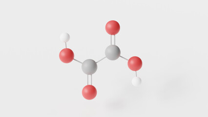 oxalic acid molecule 3d, molecular structure, ball and stick model, structural chemical formula ethanedioic acid