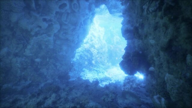 An underwater cave illuminated by a mesmerizing blue light