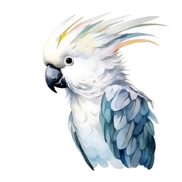 recommend clip art: beautiful colors cockatoo watercolor style, illustration.