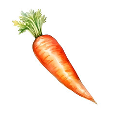 carrot easter day watercolor style, illustration.