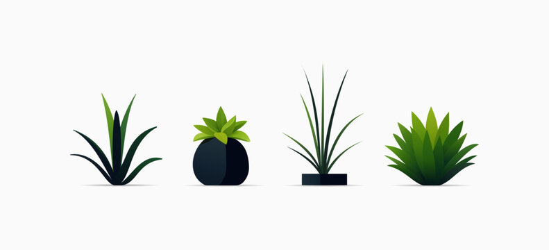 Set of stylish vector house plants in pots in flat cartoon style. Beautiful collection in black and green colors.