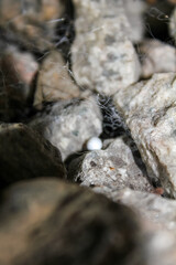 Extreme close-up view of the rocks on the old railway. Different shape of rocks on the railway. Full of rocks. Rock/stone background.