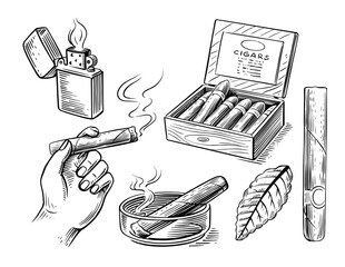 Cuban cigars and Tobacco smoking sketch illustration - 785472459