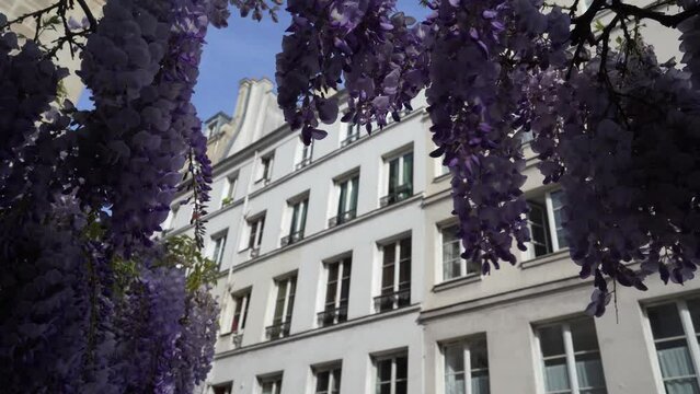 parisian building facade in Le Marais district