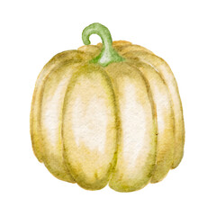 Watercolor green autumn pumpkin cut out vector isolated on white