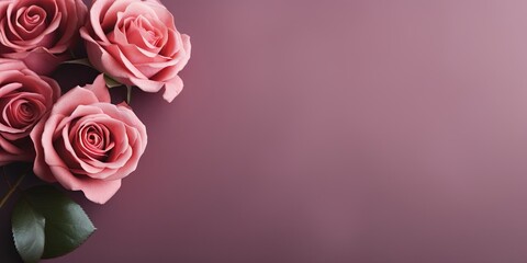 Rose background with dark rose paper on the right side, minimalistic background, copy space concept, top view, flat lay