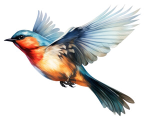 PNG Flying bird animal transparent background