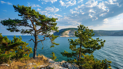 Fototapeta na wymiar Summer sea landscape with pine-trees. 