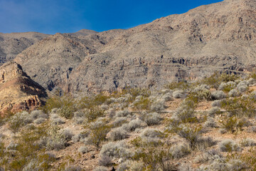 Mountains and snow peaks in the nevada and utah valleys