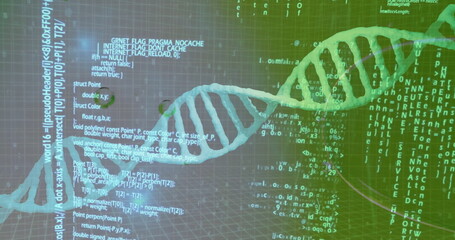 Image of data processing over bubbles and dna strand on green background