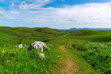 初夏の秋吉台の風景