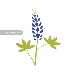 bluebonnet flower design vector illustration