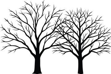 Large leafless hardwood trees are seen silhouetted on a white background, line art, vector illustration