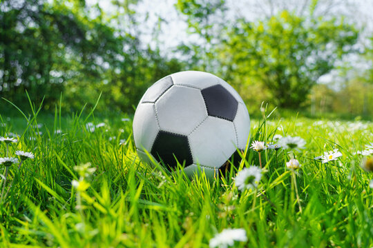  The soccer football lays on a green grass with flowers.