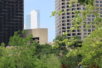 From the new Carpenter Park in downtown, the view shows how adding trees in an Urban Center is well underway to break the heat island effect of asphalt and concrete. 