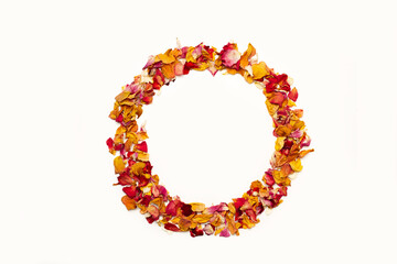 Círculo de pétalos de rosas de colores sobre un fondo blanco aislado. Vista superior y de cerca. Copy space - 785500219