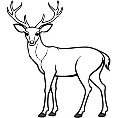 Fototapeta premium Deer vector illustration style. 