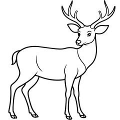       Deer  vector illustration style.
