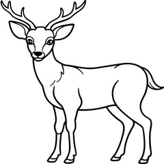       Deer  vector illustration style.

