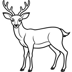       Deer  vector illustration style.
