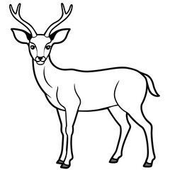       Deer  vector illustration style.
