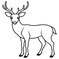      Deer  vector illustration style.

