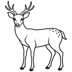       Deer  vector illustration style.
