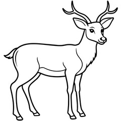       Deer  vector illustration style.
