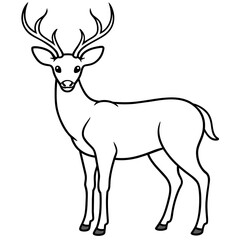       Deer  vector illustration style.
